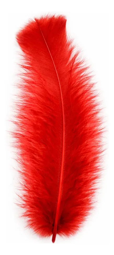 Penas Coloridas 500 Unidades - Até 25 Cores Cor Vermelho