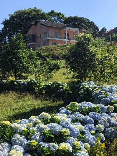 Imagem 3 de 10 de Sítio Maravilhoso Em P A/rs, Com 15.000mq Por 1.500.000,00