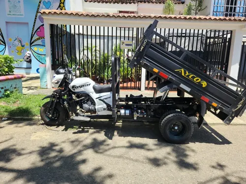 Ayco Ay300 1 Tonelada, Con Gato Para Arena