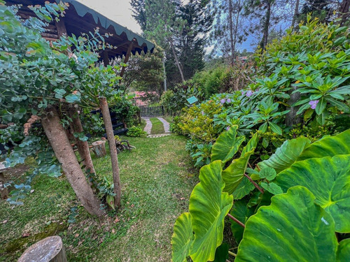 Imagen 3 de 20 de Hermosa Cabaña En Santa Elena
