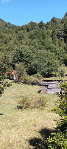 Campo Sector Huerquehue, Termas Rio Blanco