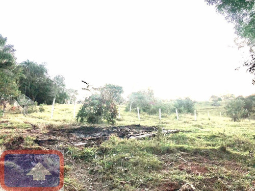 Lindo Sítio A Venda Atibaianos Em Bragança Paulista/sp - 14550