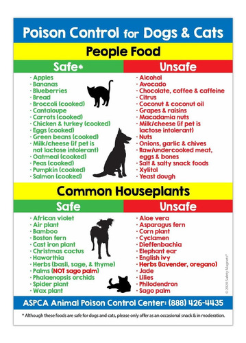 Imán De Control De Veneno Para Perros Y Gatos, Imán Para Nev