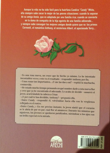 Candy Candy, La Historia Definitiva