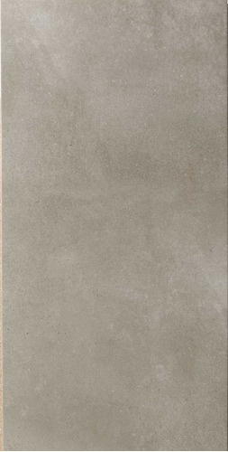 Porcelanato Europeo Zentrum Gris 50 X 100