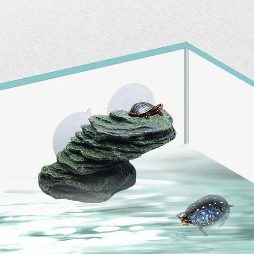 Muelle Para Reptiles, Piedra Para Terraza De , Repisa Para