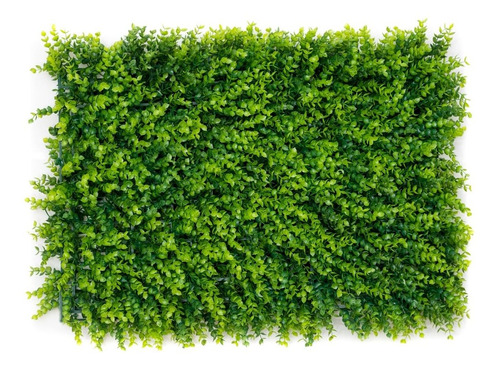 Jardin Vertical Artificial Muro Verde Modelo  Pilcomayo 