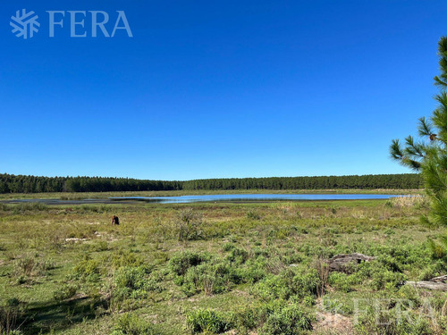Venta De Campos En Santa Rosa - Concepción - Corrientes