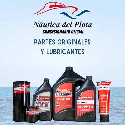 Gomón Semirrigido Kiel 5,60 Con Motor Mercury 115 Elpt 4t