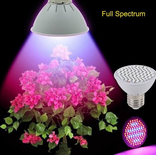 Luz Led Indoor Full Spectro 10wt