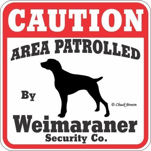 Yard Dog Muestra De La Precaución Área Patrullada Por Weimar