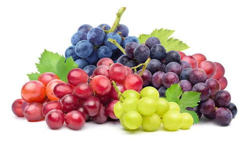 Parras (vides, Uva )  (vitis Vinífera)