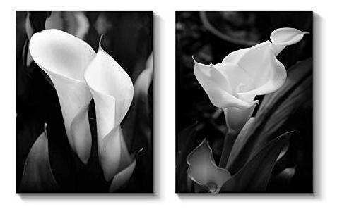 Tar Tar Studio Calla Lily Canvas Wall Art: White K846s