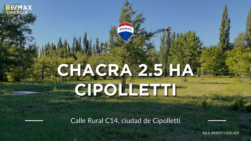 Venta Chacra 2.5ha, Cipolletti