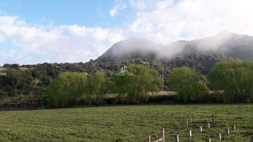 Imagen 11 de 30 de Agrícola En Venta En Teno