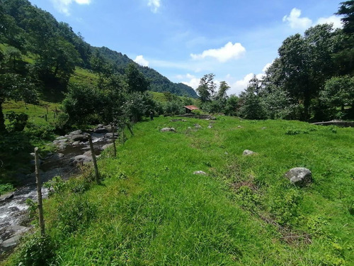 Imagen 6 de 14 de Terrenos En Venta A 15min De Valle De Bravo - Buen Precio