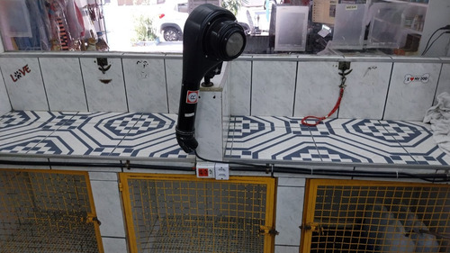 Vendo Banho E Tosa Com Consultório