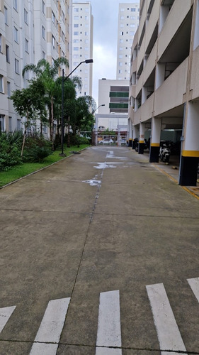 Apartamento Em Zona Norte Pirituba
