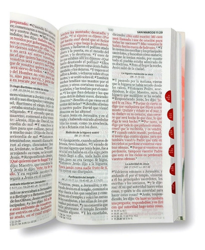 Imagen 4 de 9 de Biblia Rvr1960 Letra Grande Tapa Dura Rosa Floral Indices