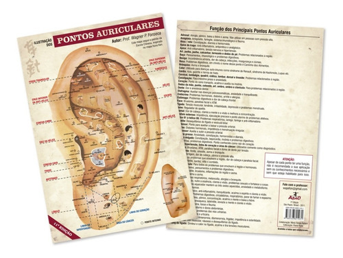 Imagem 5 de 5 de Orelha Mais Mapa Para Auriculoterapia - Treino - Auricular