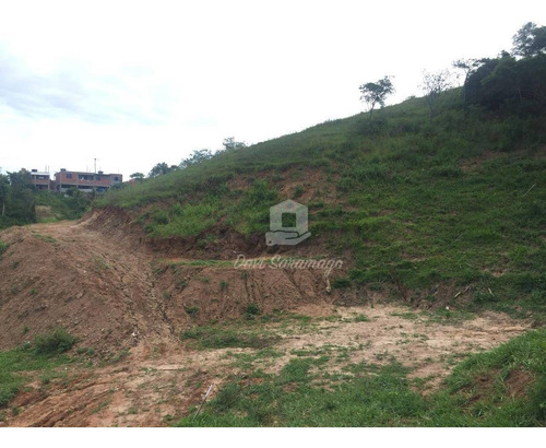 Imagem 11 de 22 de Terreno Amplo Para Desenvolvimento Imobiliário. - Te0019