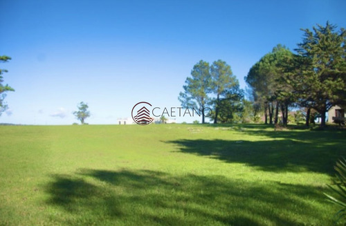 Imagen 2 de 30 de Chacra Importante En R. 39 Con 700 M2. Construidos - Maldonado Ruta 39
