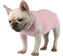 Comprar Pañales Para Perros Bragas Sanitarias Talla M 1 Unidad