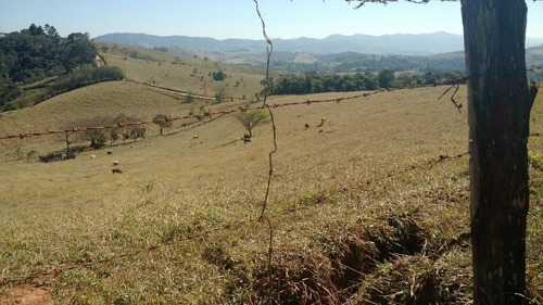 Imagem 1 de 12 de Sítio Para Venda Em Vargem, Lopo - 5422_2-318296