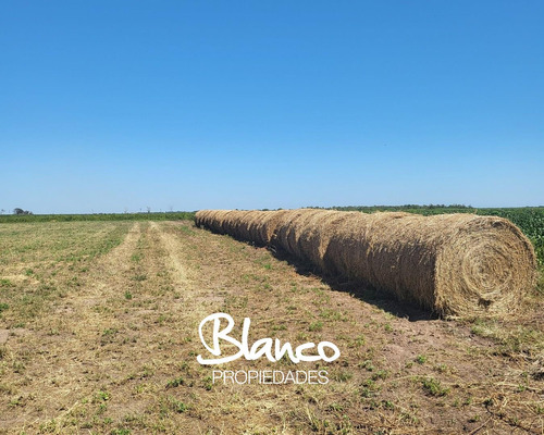 Campo  En Venta En Villa Mercedes, Pedernera, San Luis