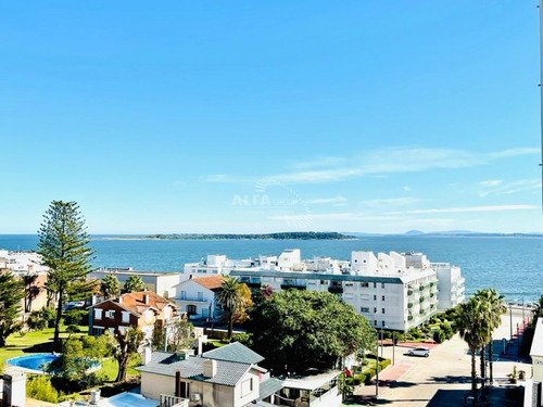 Imagen 8 de 24 de Muy Buen Apartamento De 2 Dormitorios + Dependencia - Península Punta Del Este - Punta Del Este Peninsula