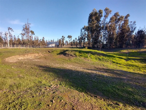 Venta Parcela 5.000 M2 Con Casa 5d/1b En Litueche