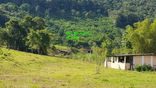 Imagem 6 de 30 de Juquiá/sitio Com Pupunha/ Pasto E 05 Lagos Para Pesqueiro - 04857 - 34121206