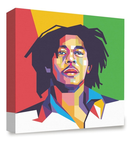 Cuadro Decorativo Canvas Paul Marley Vector 55x55