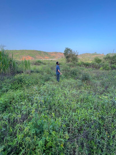 Imagen 8 de 14 de Terreno A La Venta En San Omero