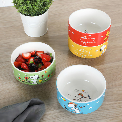 Peanuts Snoopy - Juego De 4 Cuencos De Ceramica Decorados Ap