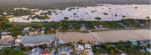 Imagen 8 de 12 de Terrenos En Venta En Santa Clara Yucatan