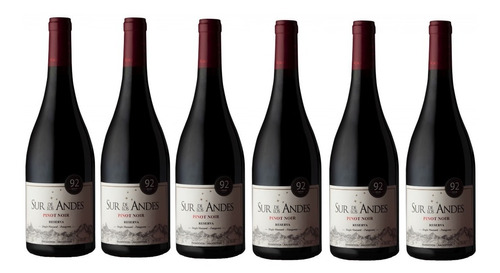 Vino Sur De Los Andes Reserva Pinot Noir X6 Durigutti