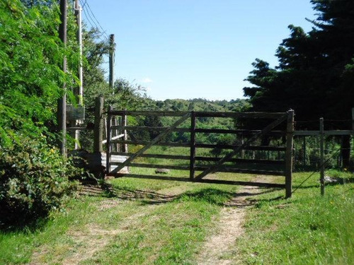 Campo En Venta En Lavalleja, 65 Hectáreas.