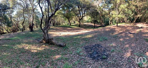 Venta Terreno 0 Ambiente Los Ocotes