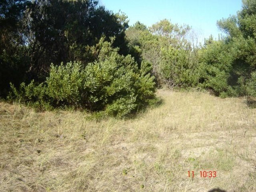 Imagen 2 de 2 de Terreno En Venta En Las Gaviotas