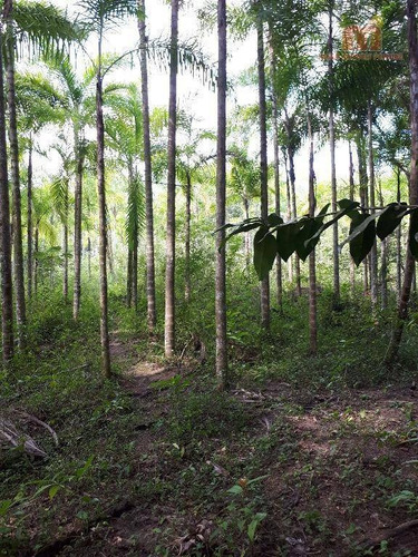 Imagem 16 de 16 de Chácara Residencial À Venda, Igrejinha, Itariri. - Ch0094
