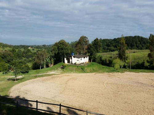 Imagem 17 de 20 de Haras À Venda, 77000 M² Por R$ 1.710.000,00 - Castelo Branco - Sorocaba/sp - Ha0001 - 67639931