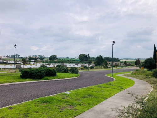 Imagen 6 de 8 de Venta De Terreno, Fraccionamiento Zirándaro En San Miguel De