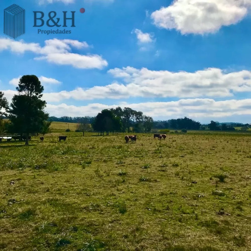 Chacra En Venta De 5 Hectáreas - Camino Medellin
