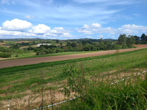 Imagem 10 de 14 de Jhx - Lote Com 1000m A Venda Direto C/ O Proprietário Em Ibiúna
