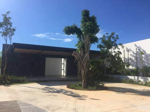 Imagen 12 de 13 de Lote De Terreno En Venta Dentro De Privada Con Amenidades En