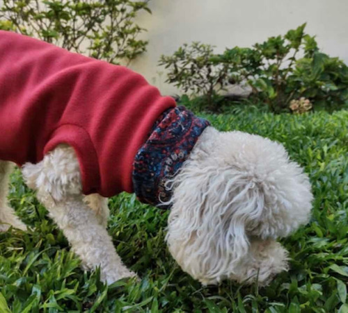 Buzo Para Perros Con Cuello Canchero Talle Xs
