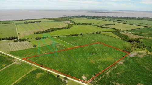Imagen 4 de 8 de Martin Chico, Colonia - Campo Agricola A 20km De Carmelo