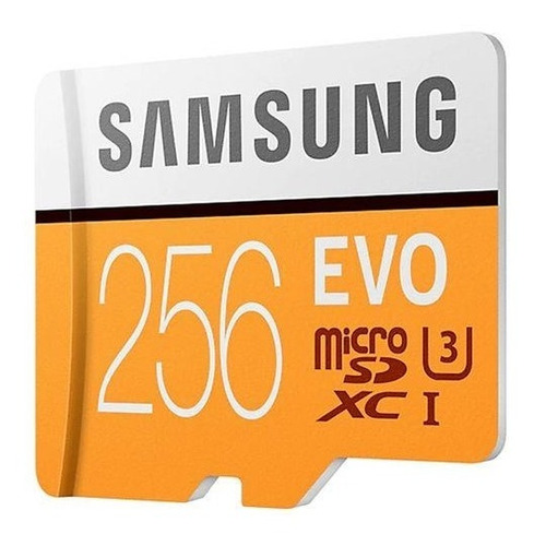 Cartão De Memória Samsung Evo Micro Sdxc 256gb (classe 10)