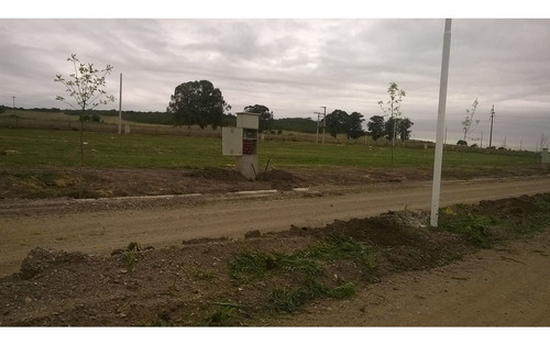 Imagen 3 de 9 de Vendo Lotes San Francisco Y Soles Serranos Ruta E 53 Próximo Aeropuerto